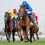 Ten Things You Need to Know About the 2026 Woodbine Mile